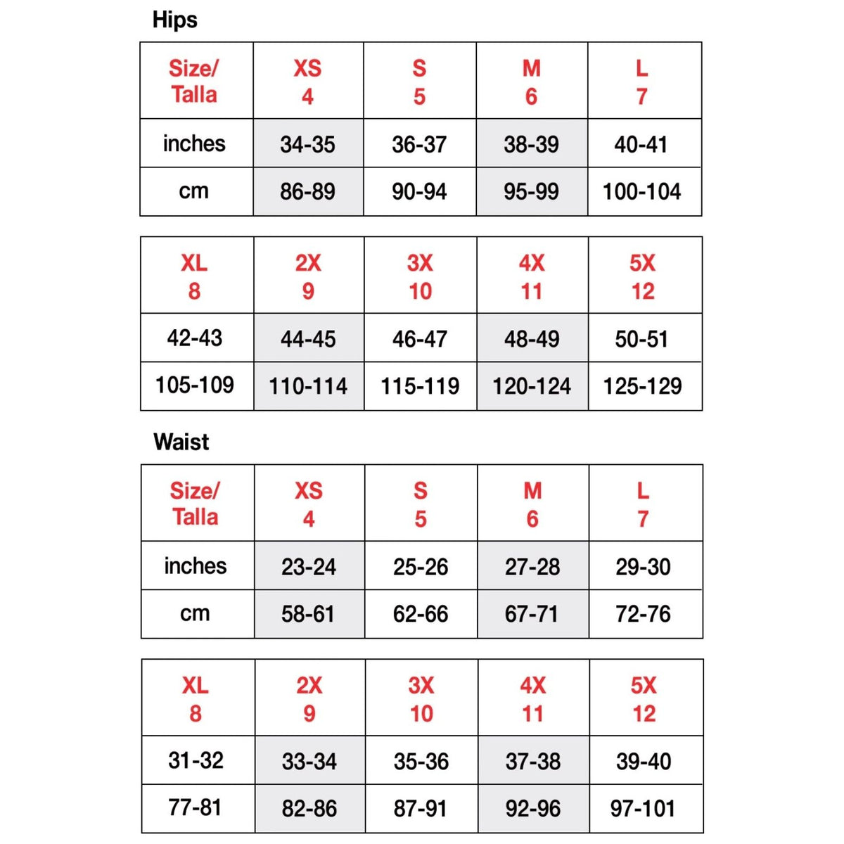 Purple Reign Panties